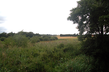 The site of Beadlow Priory July 2010
